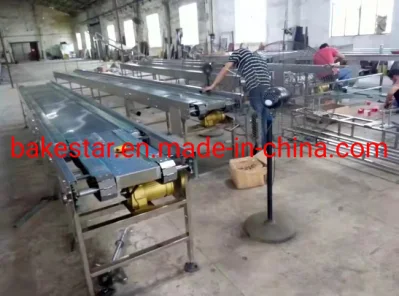 High Quality Wire Mesh with Chain Driven Mesh Belt Conveying Equipment for Food Conveyor